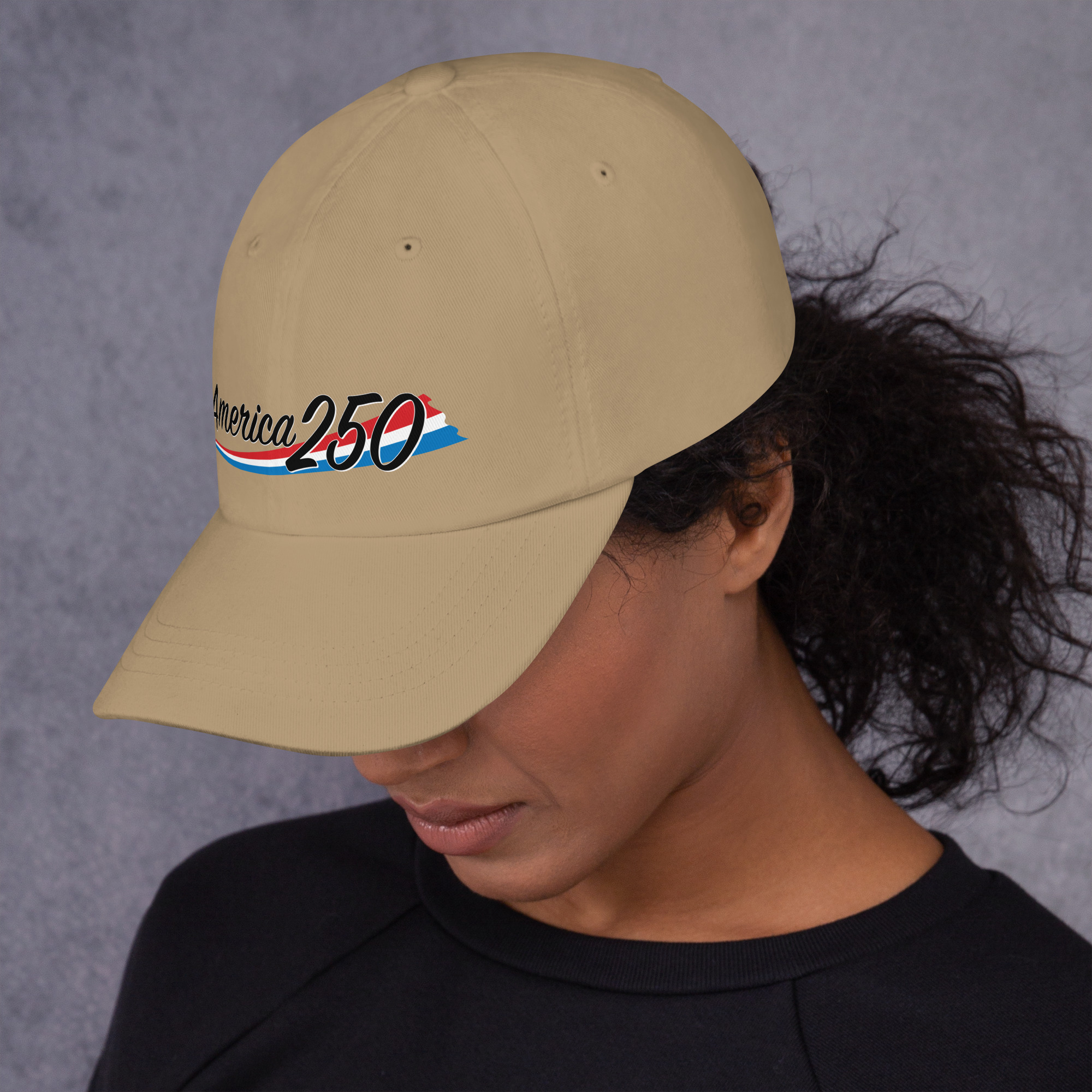 US 250th Dad hat - Image 12